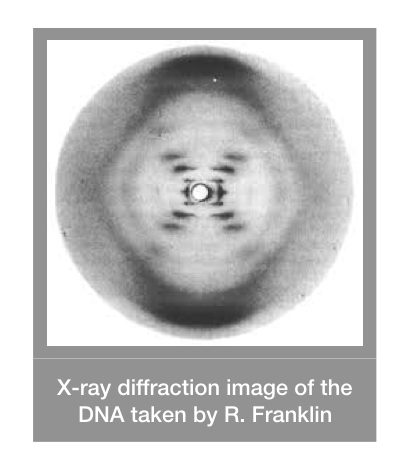 X-ray diffraction image taken by R. Franklin. 