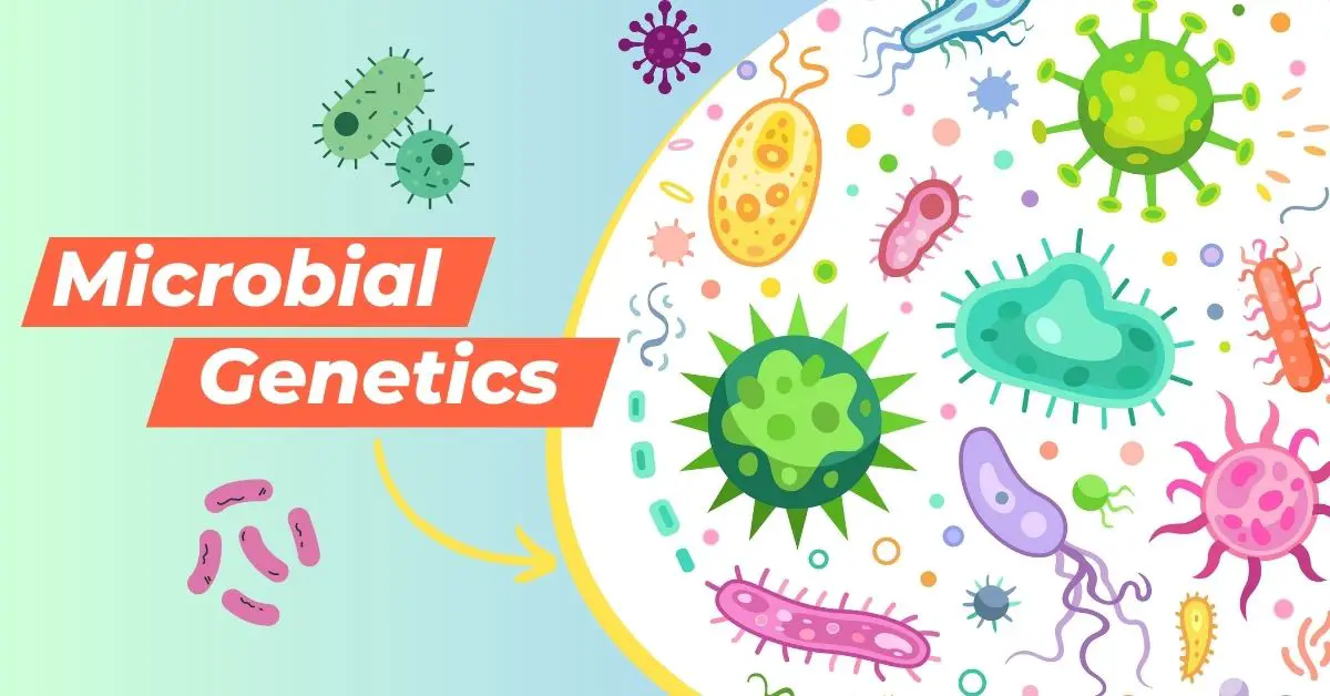 Why Microbial Genetics Is The Future Of Microbiology?