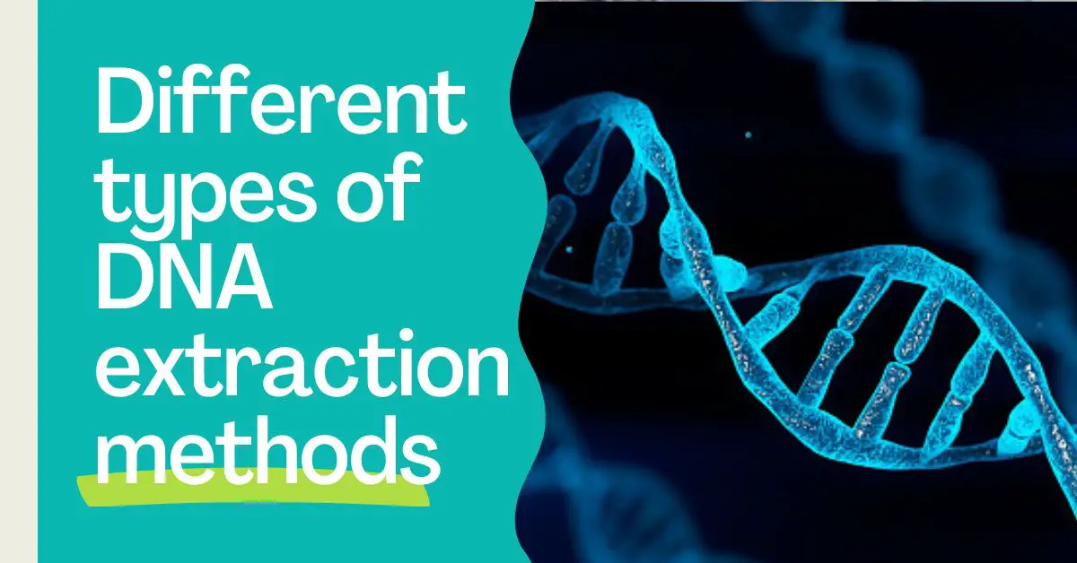 10 Different Types Of Dna Extraction Methods Updated