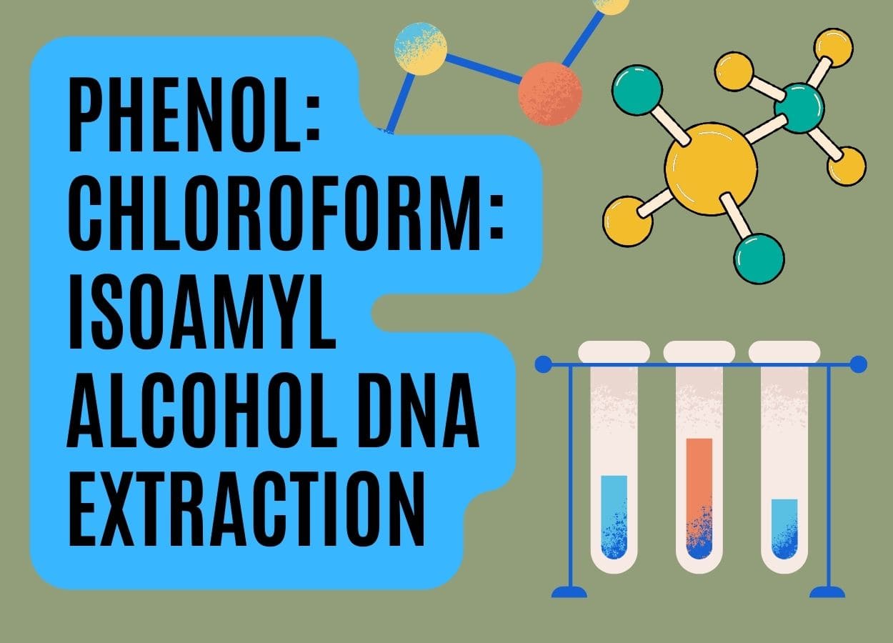 Phenol Chloroform Dna Extraction Basics Preparation Of Chemicals And