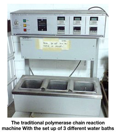 The polymerase chain reaction