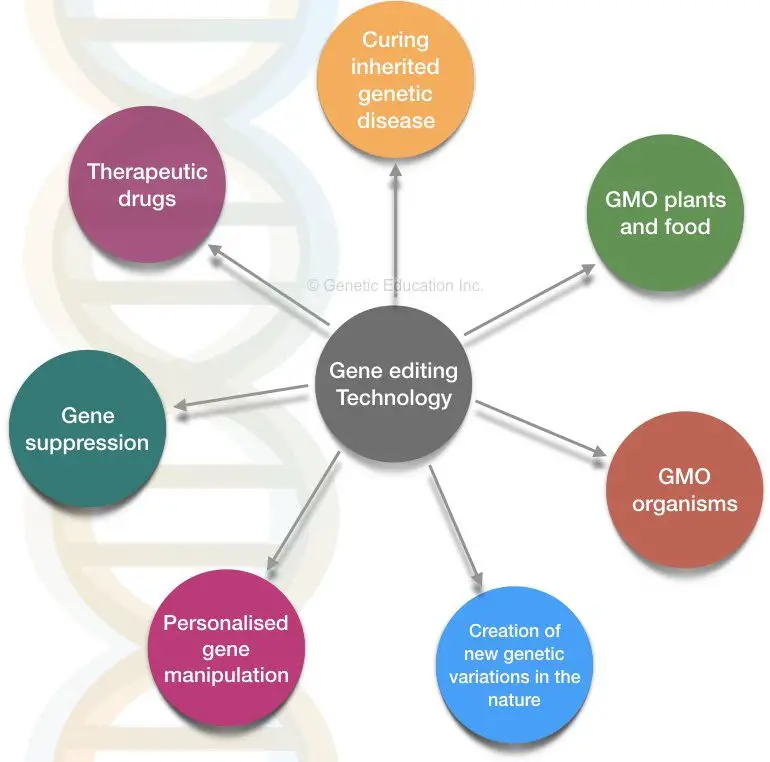 What is gene editing and CRISPR-CAS9? 