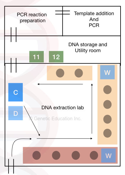 How to set up a DNA extraction lab: A complete guide (chemicals, instruments and other utilities)