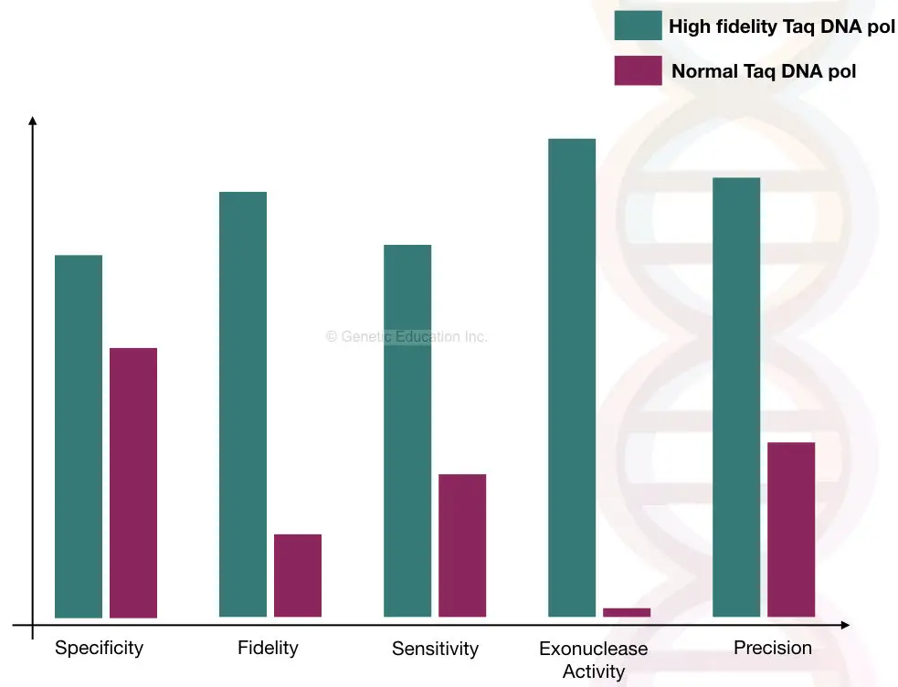 The comparison between normal and fidelity Taq DNA polymerase.
