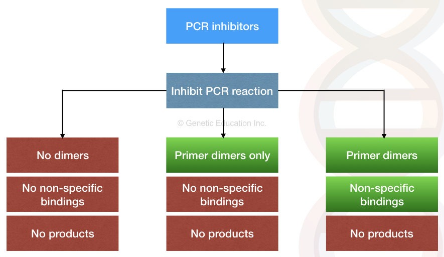 Effect of PCR inhibitors on PCR amplification