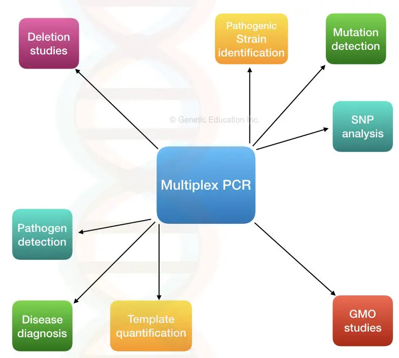 Illustration of various application of multiplex PCR. 