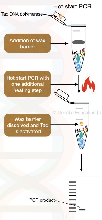 What is a Hot start PCR?