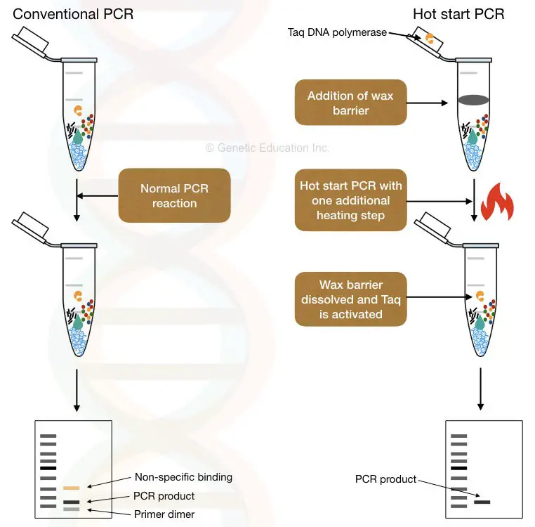 What is a hot start PCR?