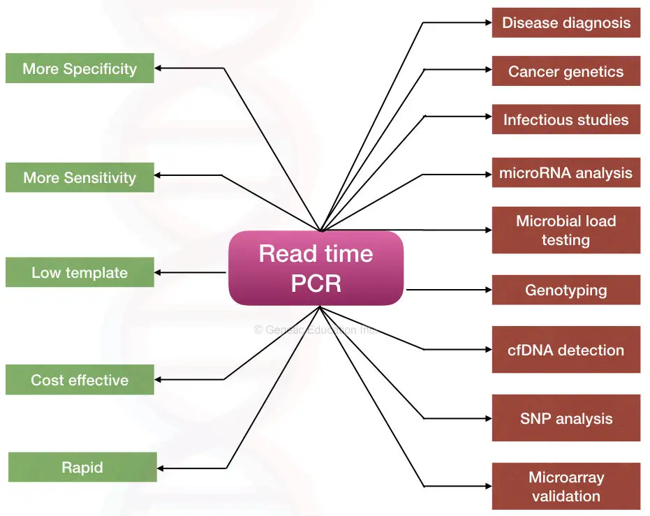 Real-time PCR: Principle, Procedure, Advantages, Limitations and Applications