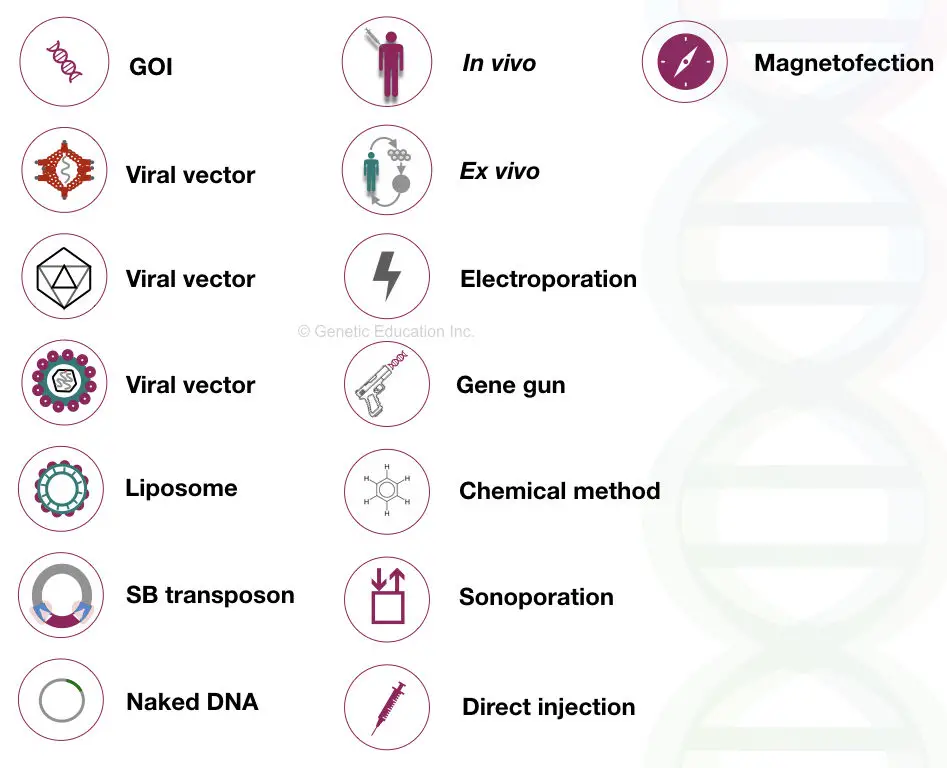 some of the symbols used in the gene therapy 