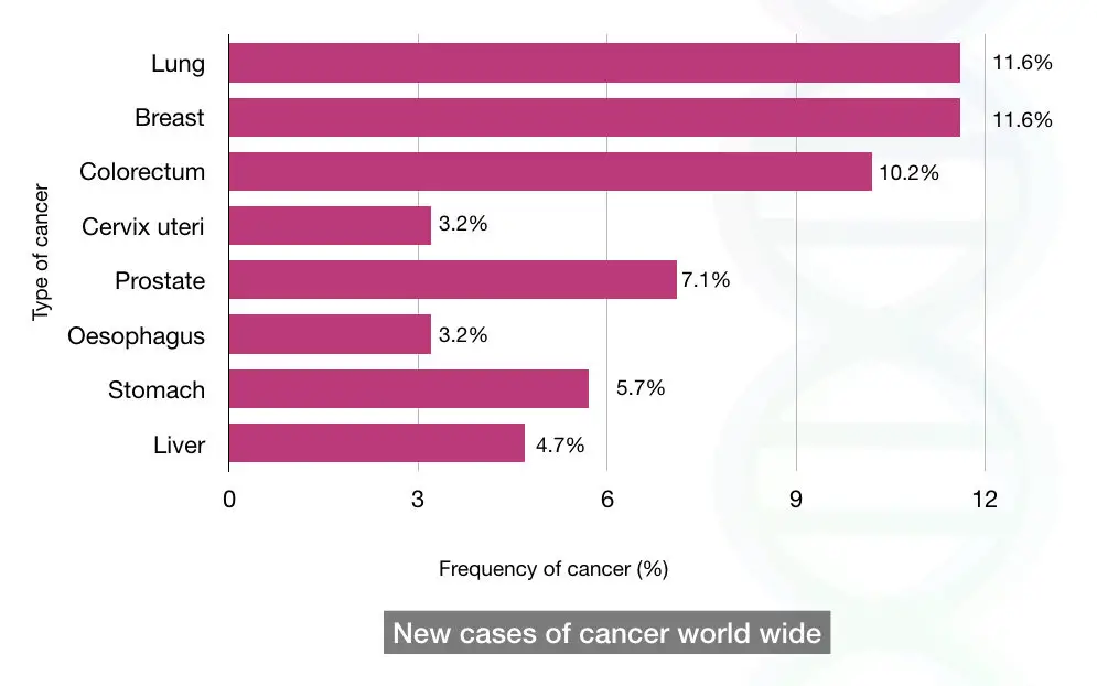 Worldwide prevalence of some common types of cancer
