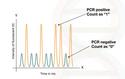 The graphical illustration of the output of digital PCR. 