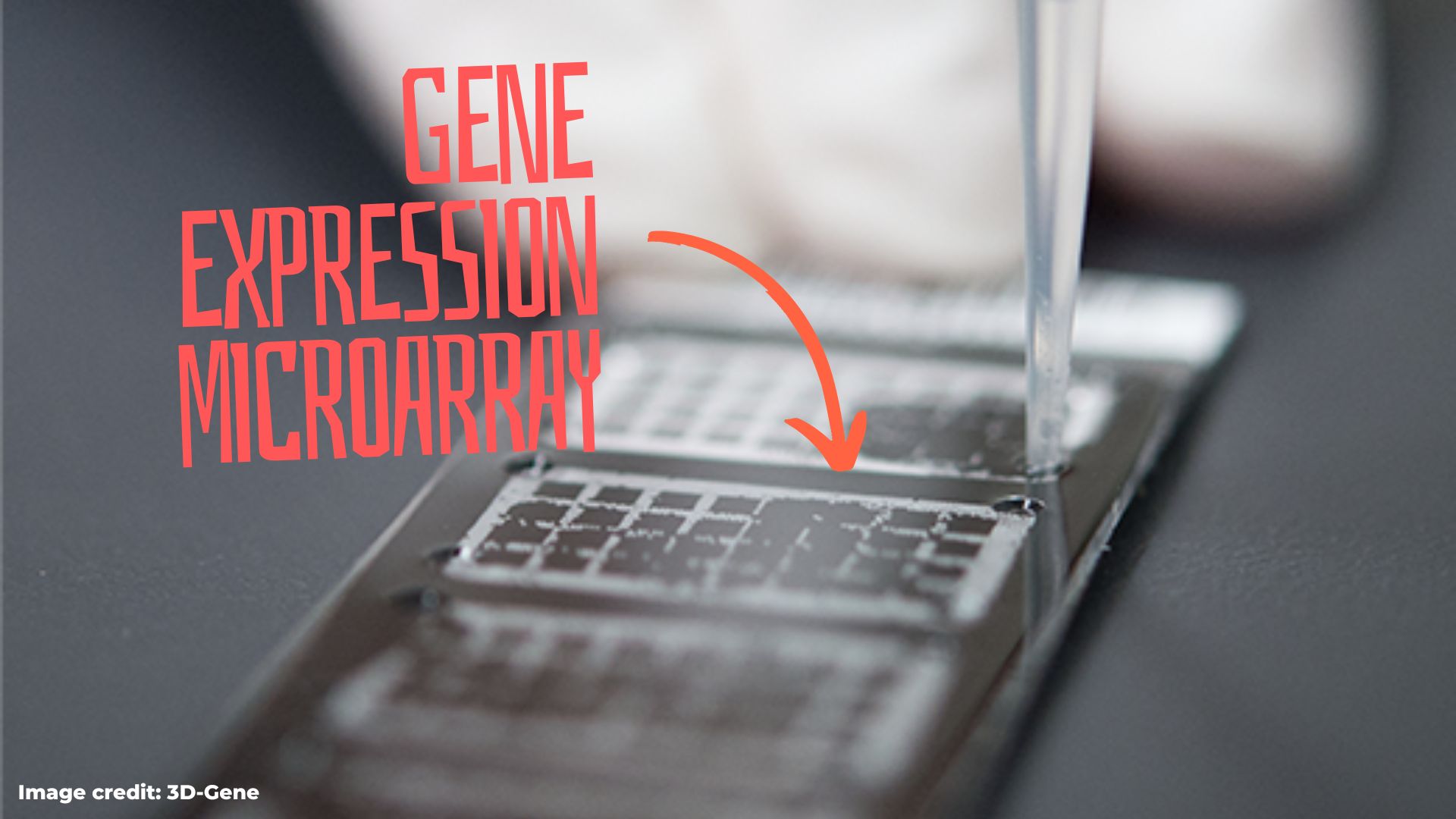 Gene Expression Microarray Principle Process Advantages Limitations And Applications 5525