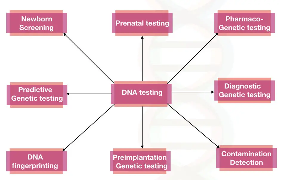 Different types of DNA testing methods.