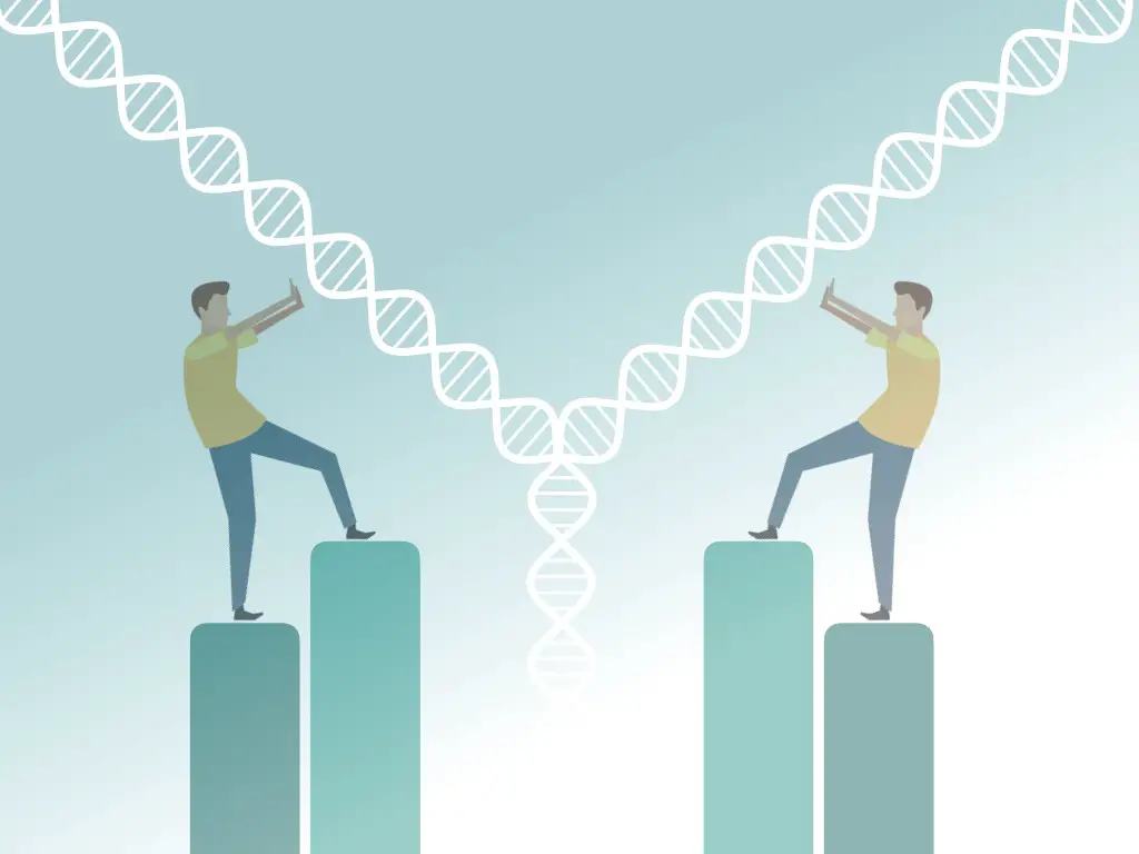 Education — Do Identical Twins Have The Same DNA?