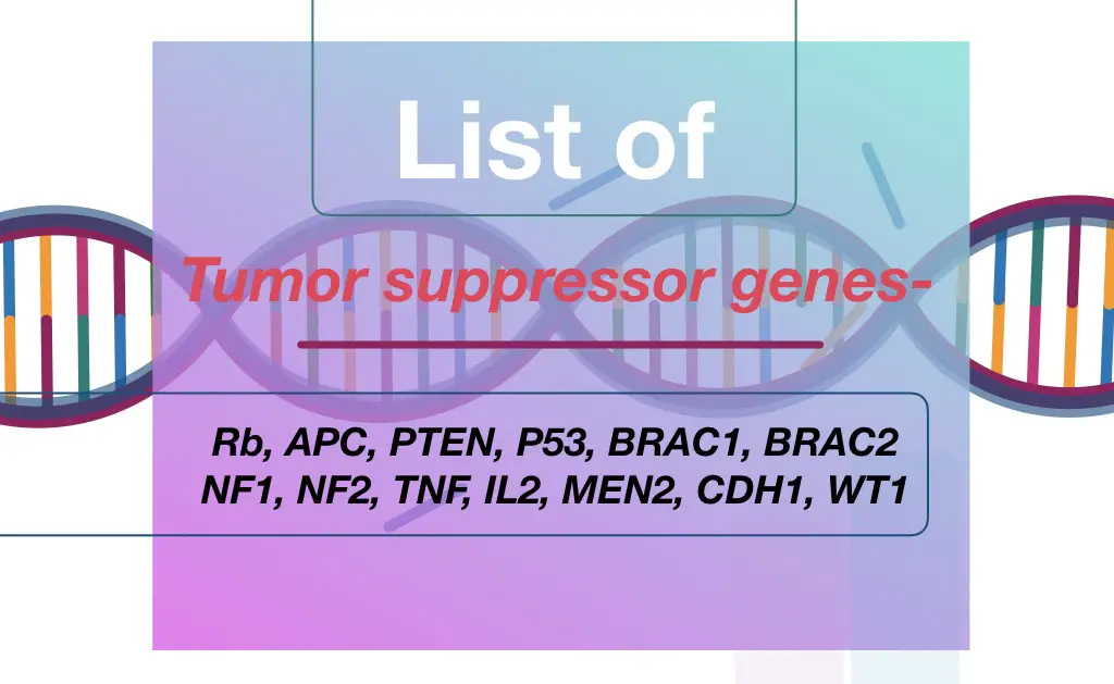 List of Tumor suppressor genes 