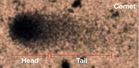 The original comet DNA with head and tail.