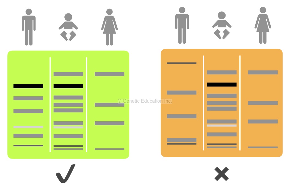 The image of paternity DNA testing. 