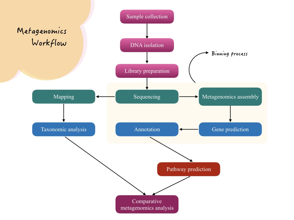 Workflow of metagenomics analysis