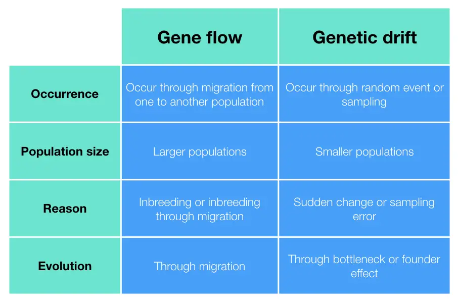 gene flow definition