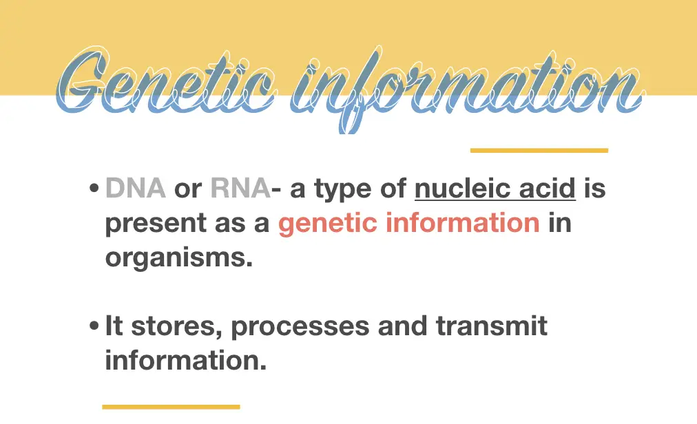 Why is Genetic Information so Important? 