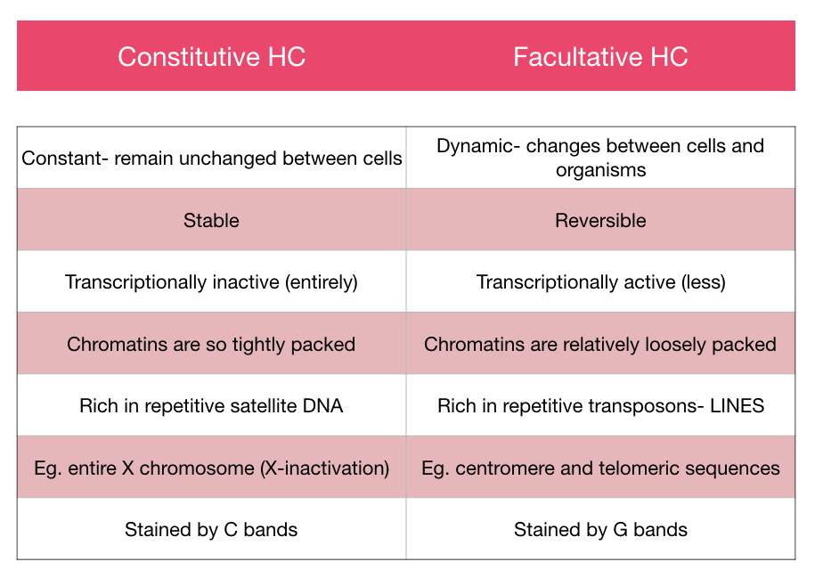 What is Heterochromatin?- Constitutive and Facultative Heterochromatin Explained