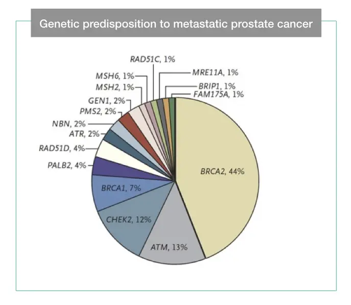 Genetic predisposition study to metastatic cancer. 