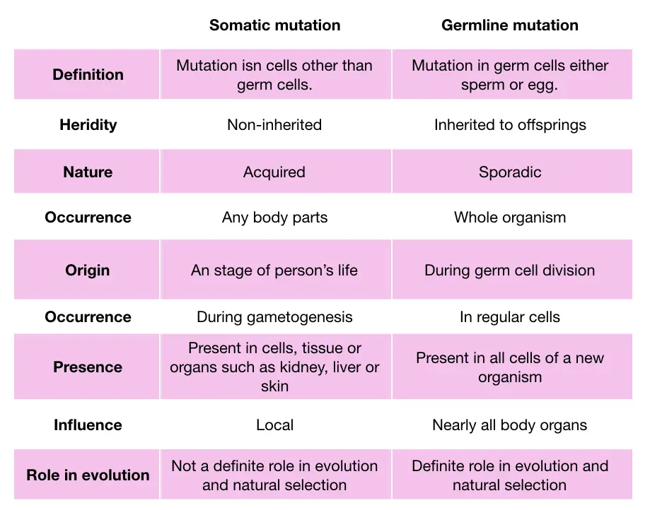 Differences between somatic vs germline mutations