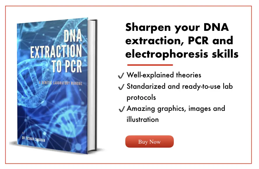 DNA extraction to PCR ebook