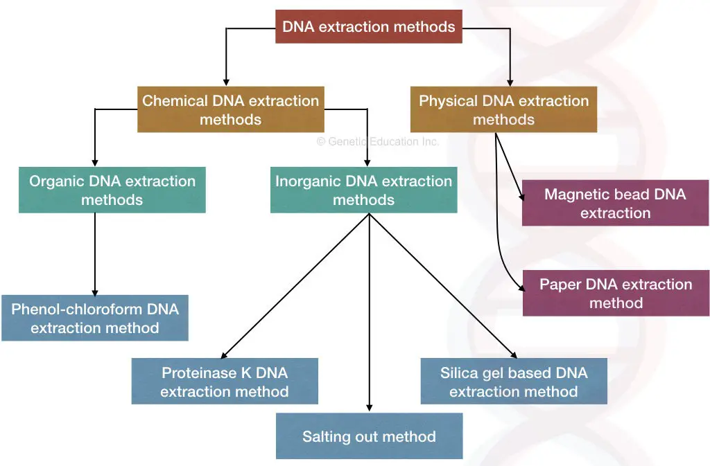 Different types of DNA extraction methods.