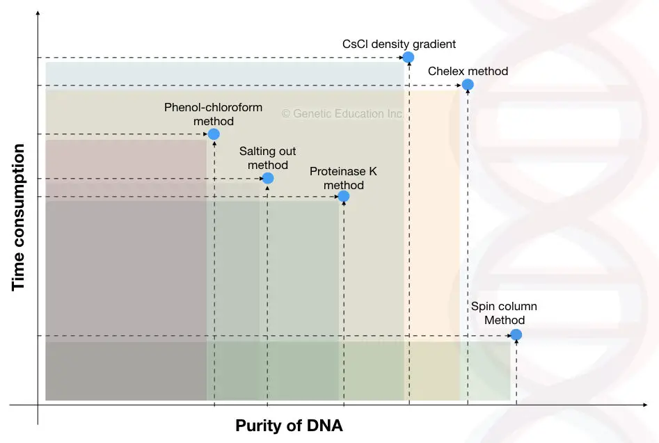 Comparison of different DNA extraction methods. 