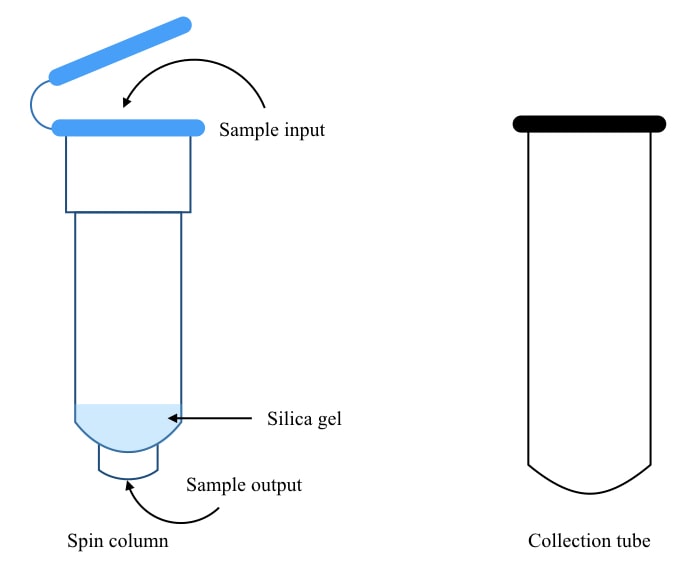 Illustration of spin column and collection tube.