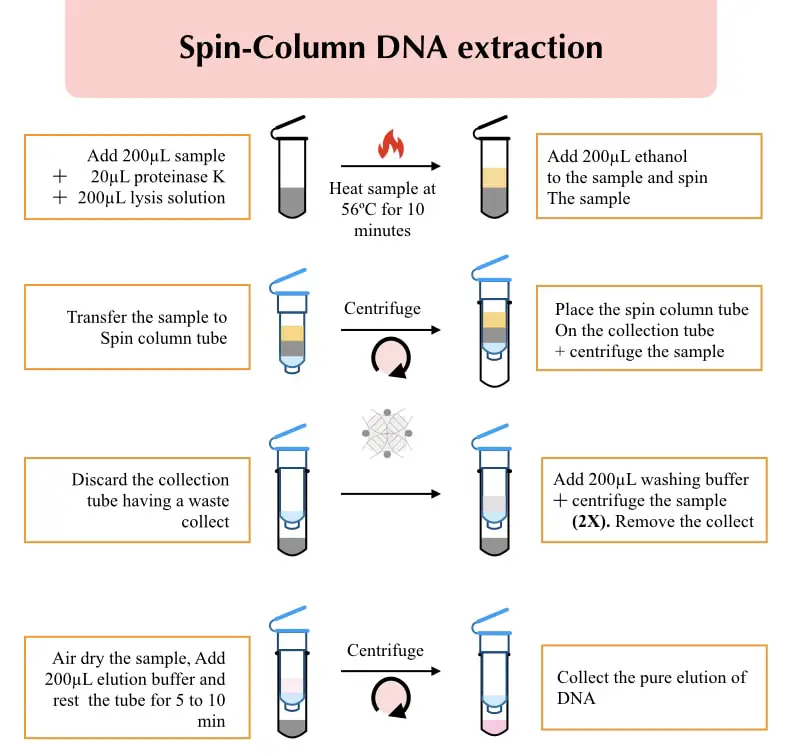 advantages-and-limitations-of-spin-column-dna-extraction-technique