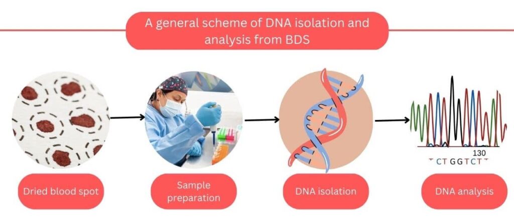 Illustration of the DNA isolation scheme from DBS.