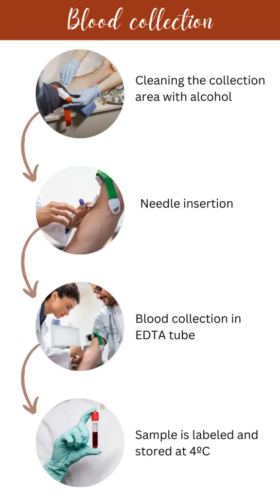 Illustration of blood collection technique