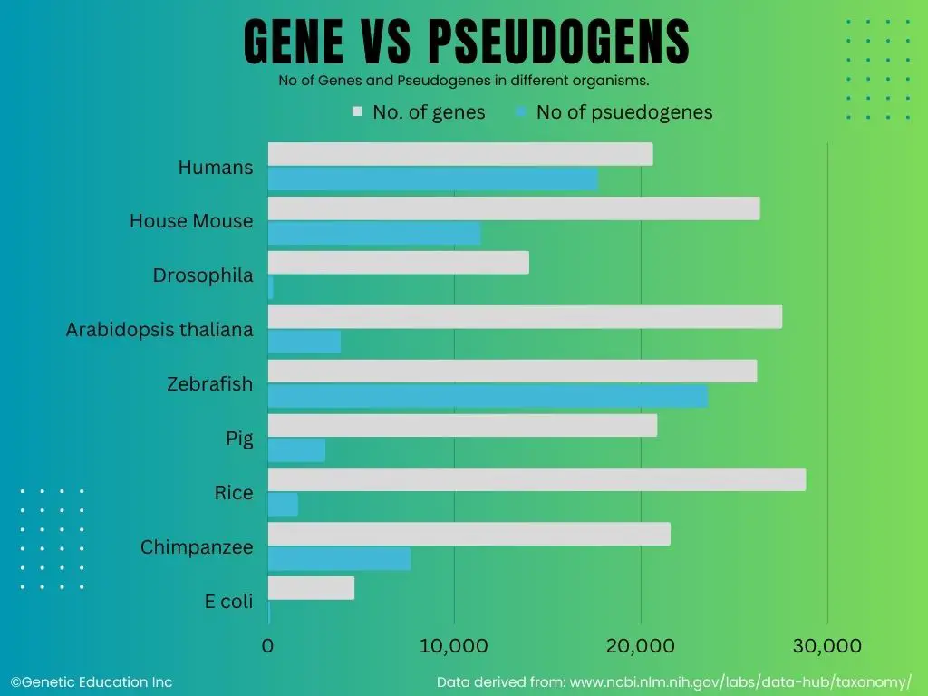No. of genes and pseudogenes in different organisms.