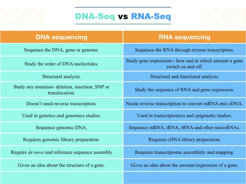 DIfferences between DNA-seq vs RNA-seq
