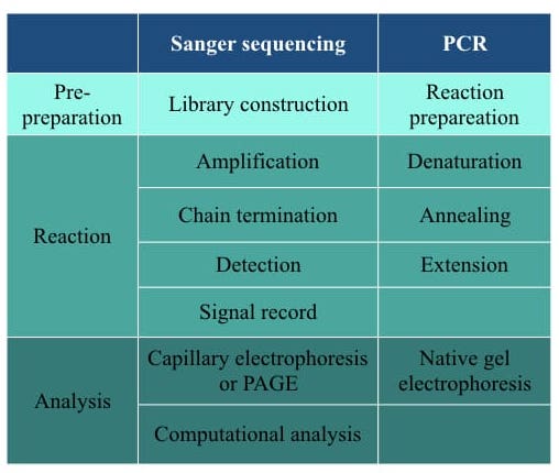 Illustration of technical differences between Sanger sequencing vs PCR. 