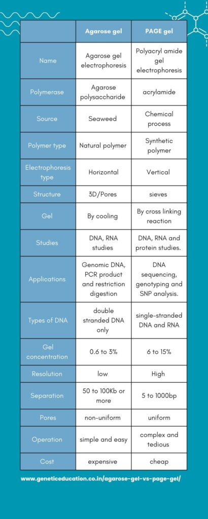 Common differences between agarose gel and PAGE gel.