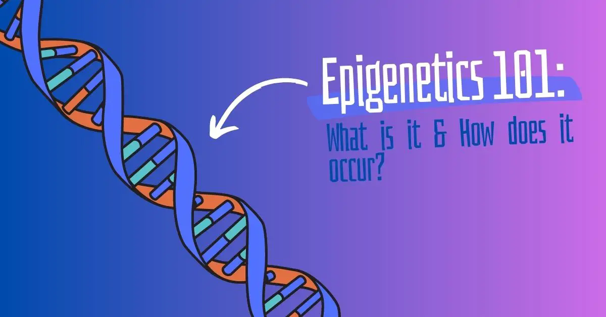101 What is and How Does It Work?