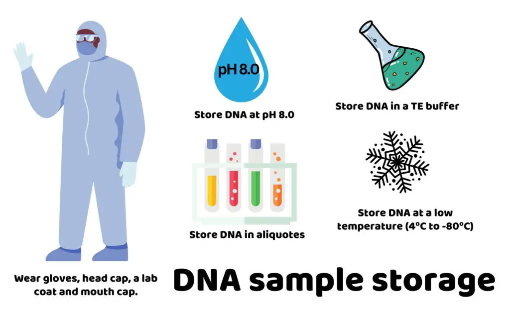 Common conditions for DNA sample storage.
