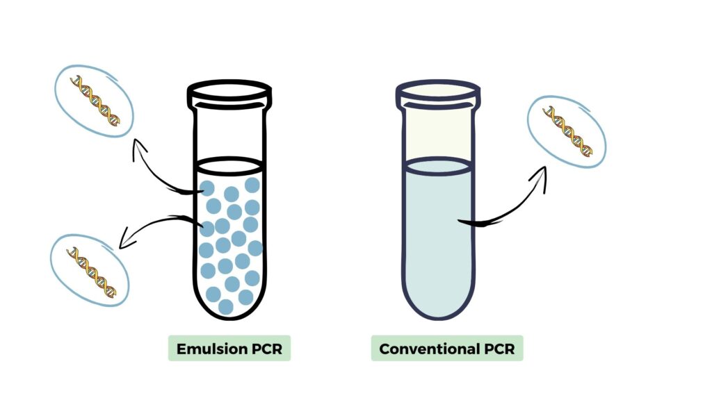 Difference between emulsion PCR and PCR.
