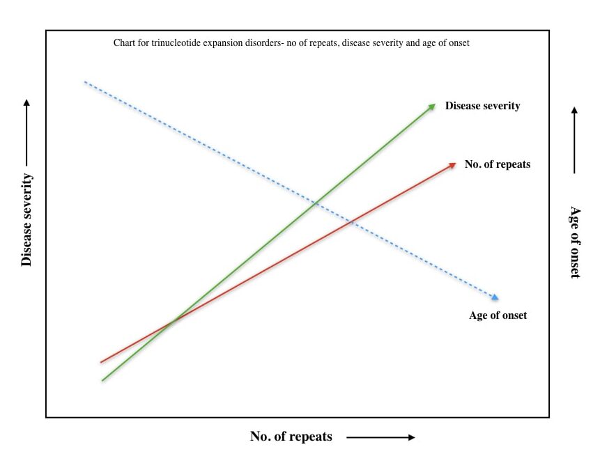 Hypothetical graph for No of repeats, age of onset and disease severity.