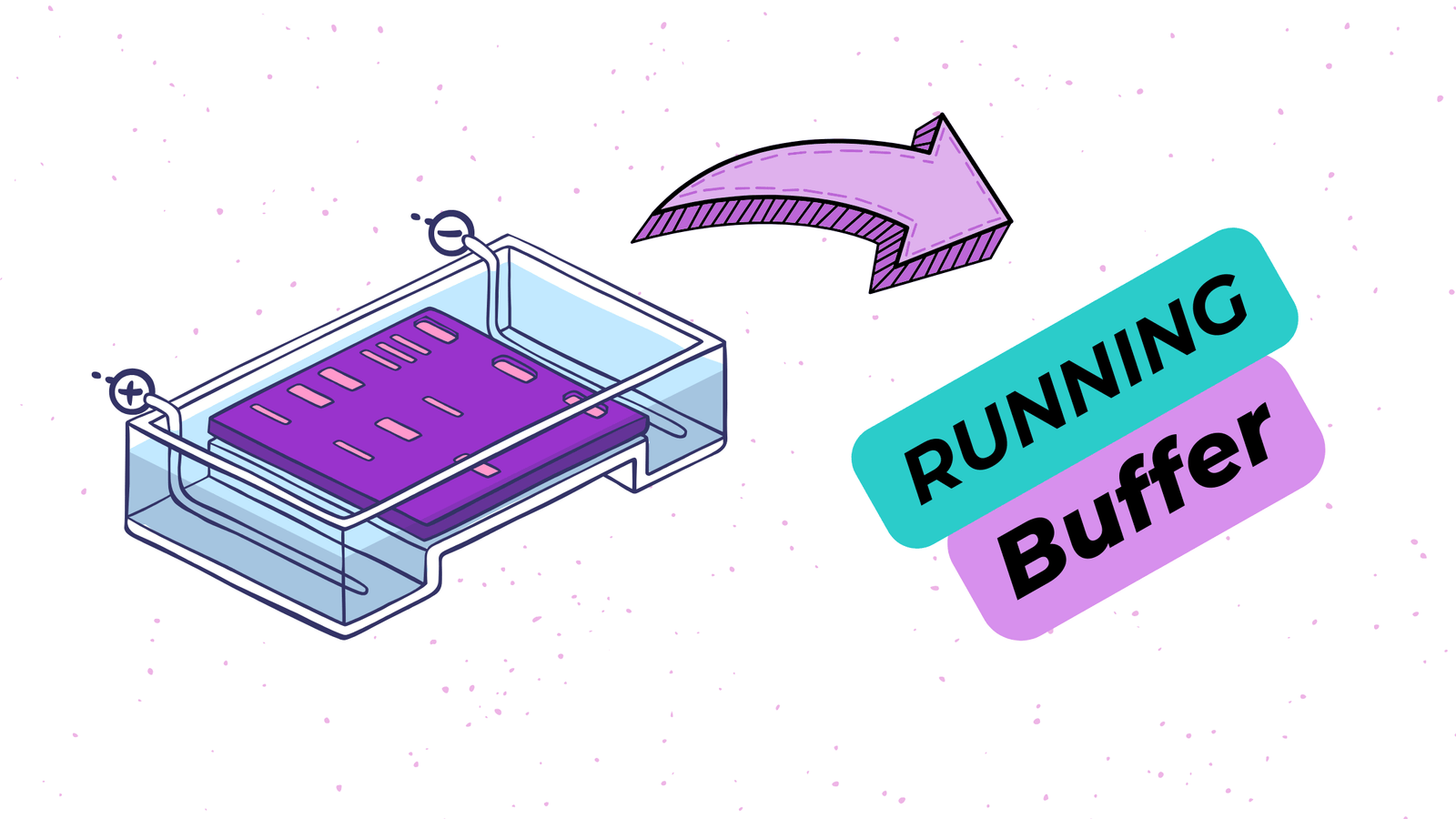 7 Purposes Of A Running Buffer In Electrophoresis My Guide To Use It 7 Purposes Of A Running Buffer In Electrophoresis My Guide To Use It