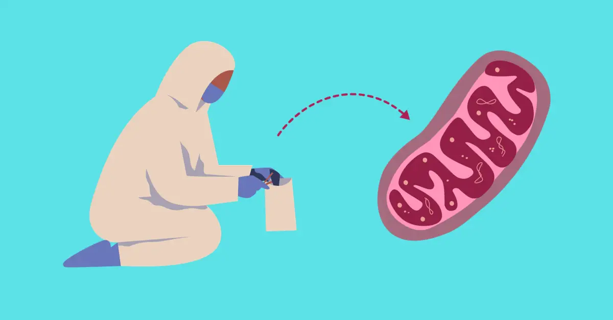 How and Why is mtDNA Typing Used in Forensic Science? – Genetic 