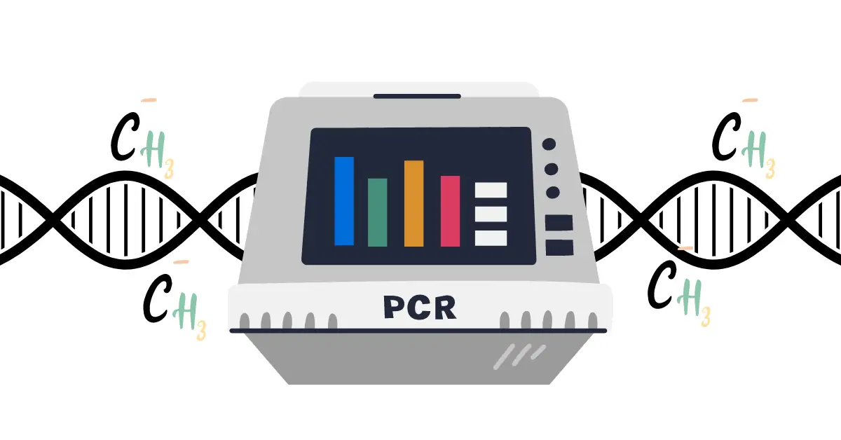 Methylation Specific Pcr- A Complete Technical Guide – Genetic Education