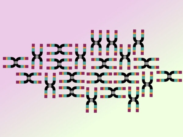 Explaining the Ct value (Threshold Cycle) of qPCR – Genetic Education