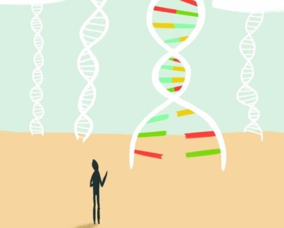 Genetic Markers: RFLP, RAPD, AFLP, ISSR, STR, SCAR, EST, SSR And SNP