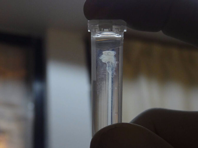 What is the Role of Alcohol in DNA extraction?