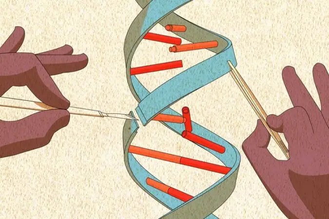 What is the Function of DNA Topoisomerase 1 and 2?